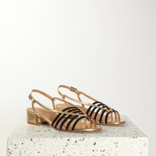 Load image into Gallery viewer, ALEXIS Suede Black &amp; Gold - Emma Go Shoes
